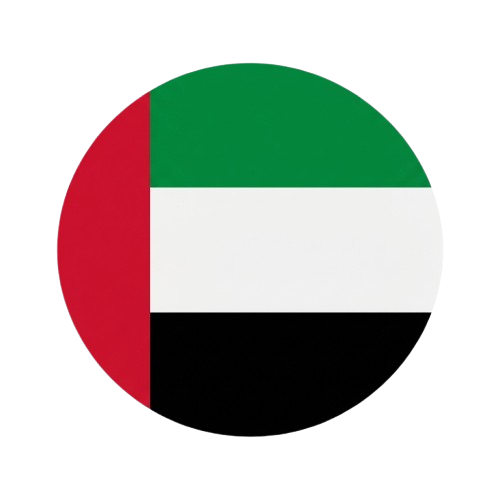 Dubai flag